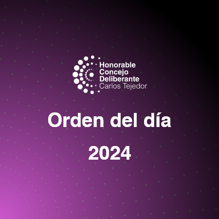 N° 33 Cuarta Sesion Extraordinaria 03-12-2024